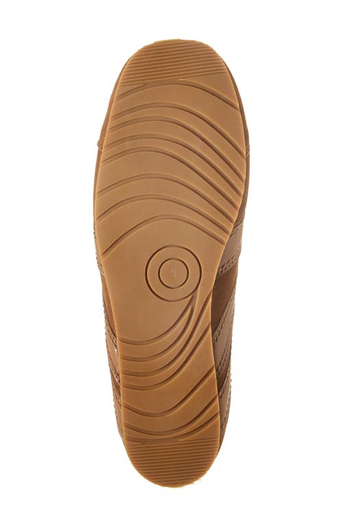 Jeffrey Campbell Aleta Sneaker In Tan Suede Combo