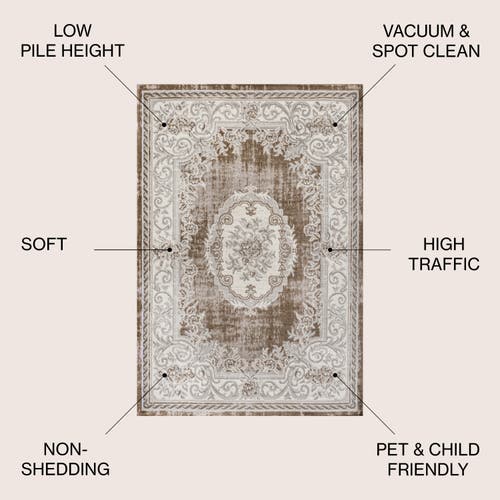 Jonathan Y Rosalia Cottage Medallion Area Rug In Brown/gray