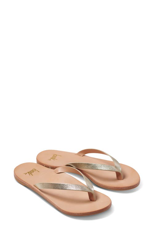 Seabird Flip Flop in Platinum/honey