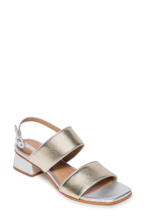 BERNARDO FOOTWEAR Jasper Block Heel Sandal at Nordstrom,