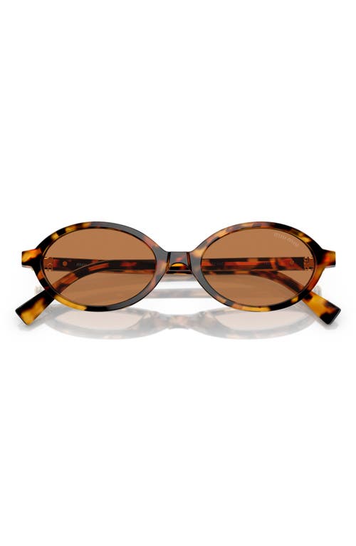 Miu Miu 50mm Oval Sunglasses in Lite Havana at Nordstrom