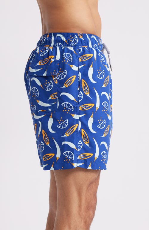 Tom & Teddy Chilli Swim Trunks In Blue & Orange