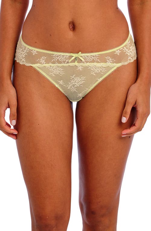 Offbeat Decadence Galloon Lace Briefs in Key Lime (Kee)