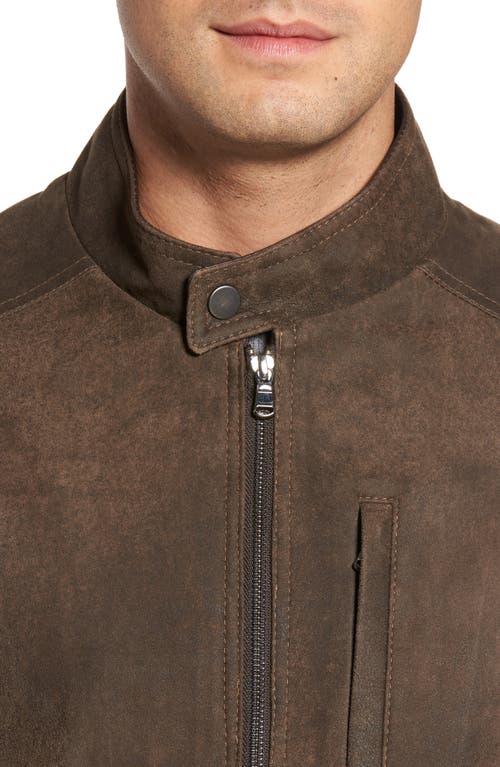 Shop Remy Leather Suede Moto Jacket In Frontier/cocoa