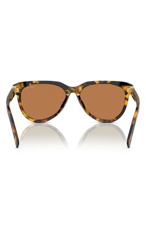 Miu Miu 56mm Phantos Sunglasses In Blond Havana