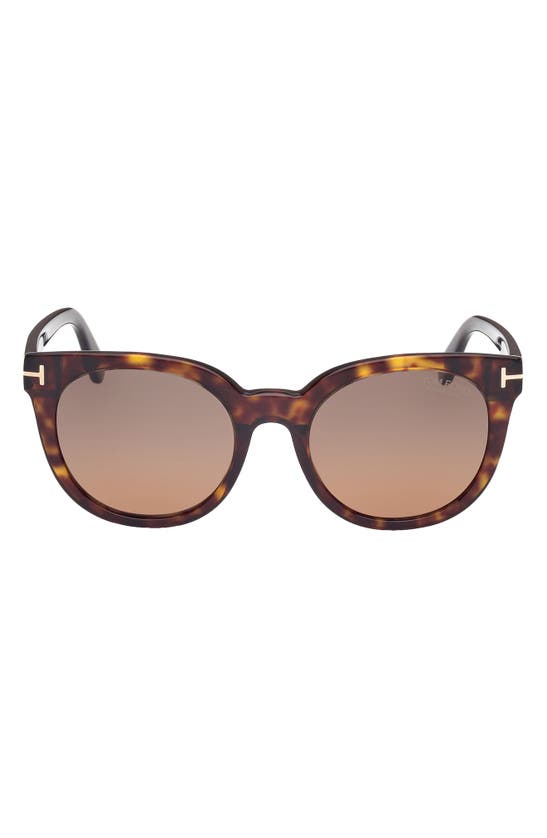 Shop Tom Ford Moira 53mm Polarized Butterfly Sunglasses In Dark Havana / Brown