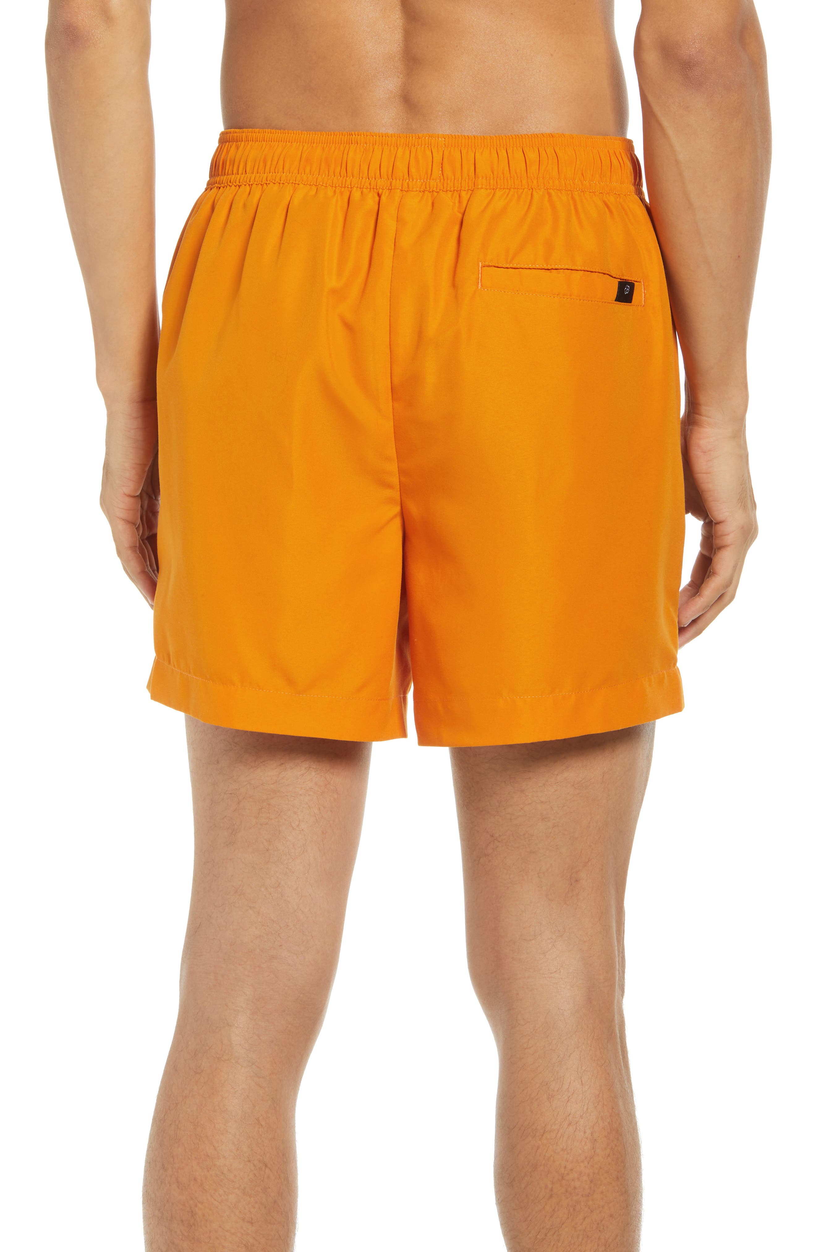 ted baker shorts nordstrom