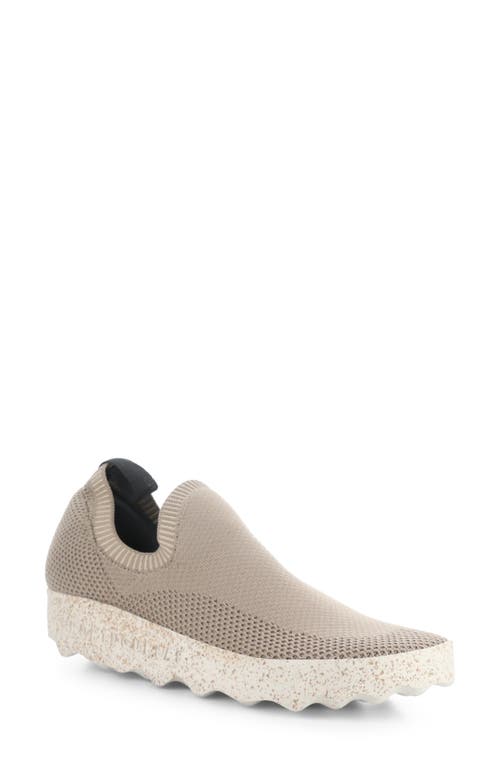 Clip Slip-On Sneaker in Taupe Recycled Knit