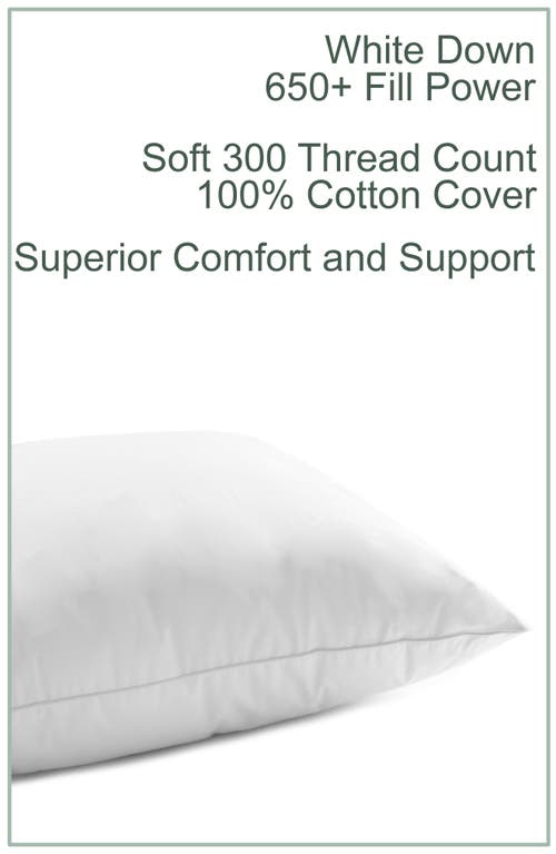 Melange Home 650 Fill Power Down 300 Thread Count Pillow In White