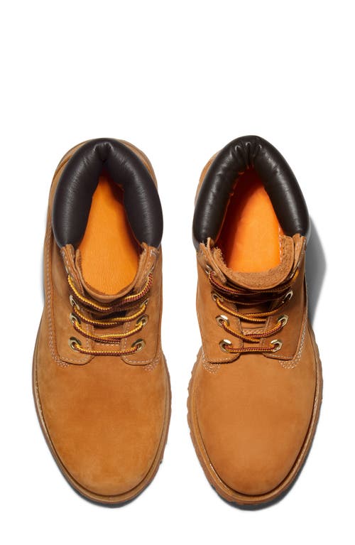 Timberland Premium 6 Inch Lace Up Waterproof Boot In Wheat