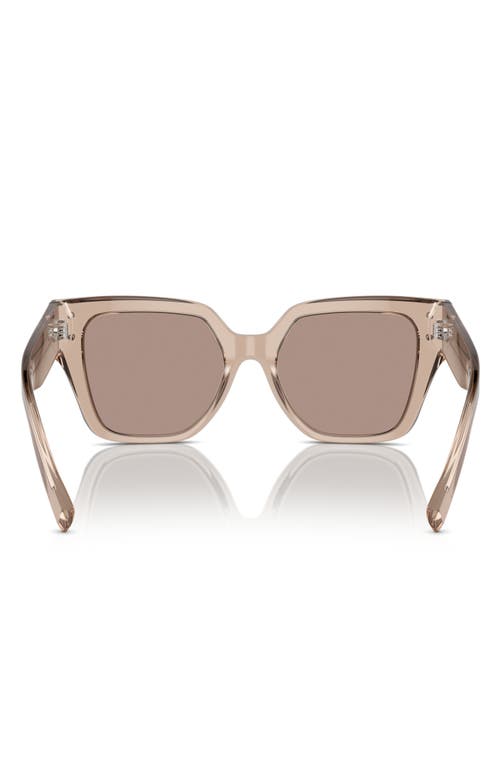 Shop Dolce & Gabbana Dolce&gabbana 52mm Square Sunglasses In Camel