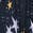 selected Navy Star color