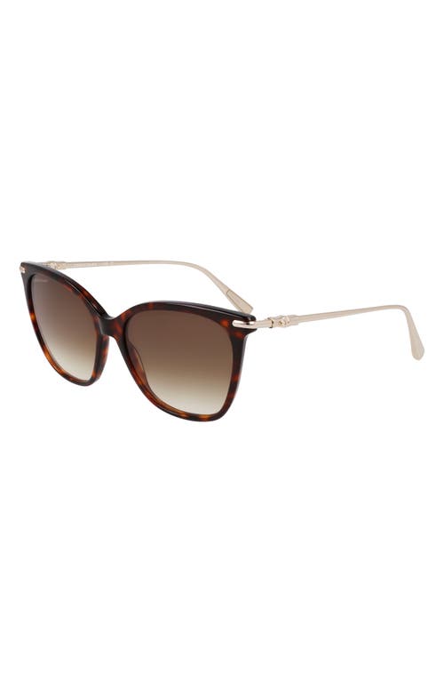 Longchamp Roseau 55mm Rectangular Sunglasses In Dark Havana