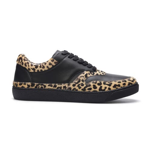 Carlos Santana Lennox Sneaker In Black Leopard