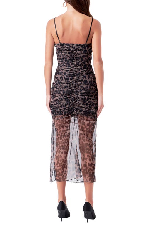 Shop Endless Rose Ruched Mesh Midi Dress In Leopard