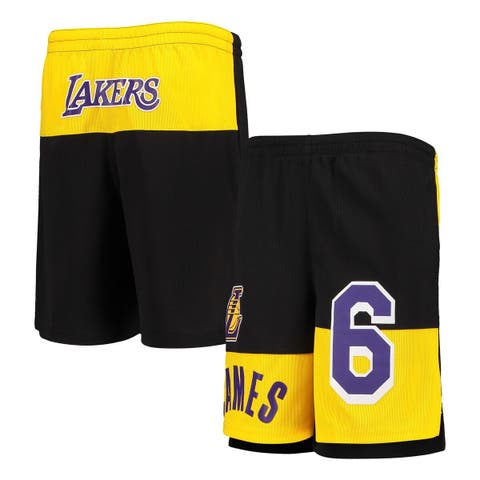  Lebron James Los Angeles Lakers Purple Yellow #6 Youth 8-20  Alternate Edition Swingman Player Jersey (8) : Sports & Outdoors