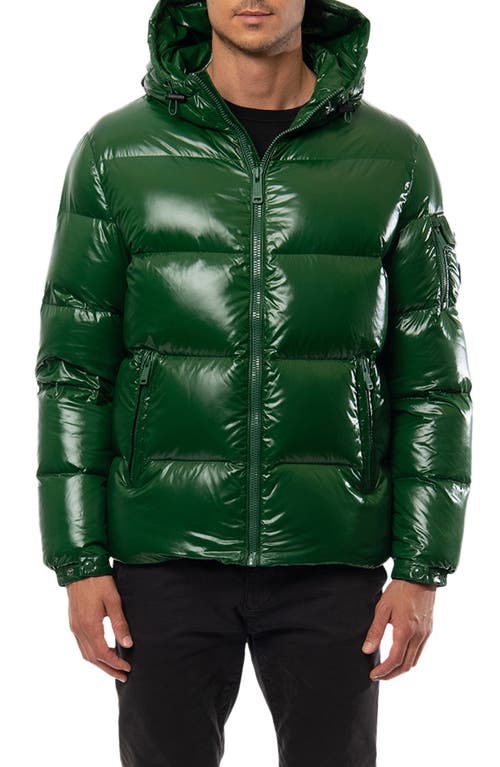 The Recycled Planet Company Reclaimed Down Hooded Jacket in Dk Emerald