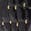 selected Black Patent Gold color