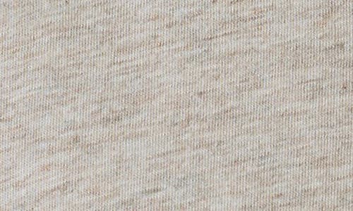 Eileen Fisher Crewneck Organic Cotton T-shirt In Dove
