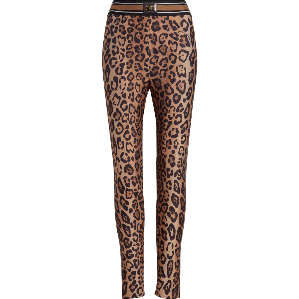 Dolce & Gabbana Dolce&gabbana Leopard Print Leggings In Leopard