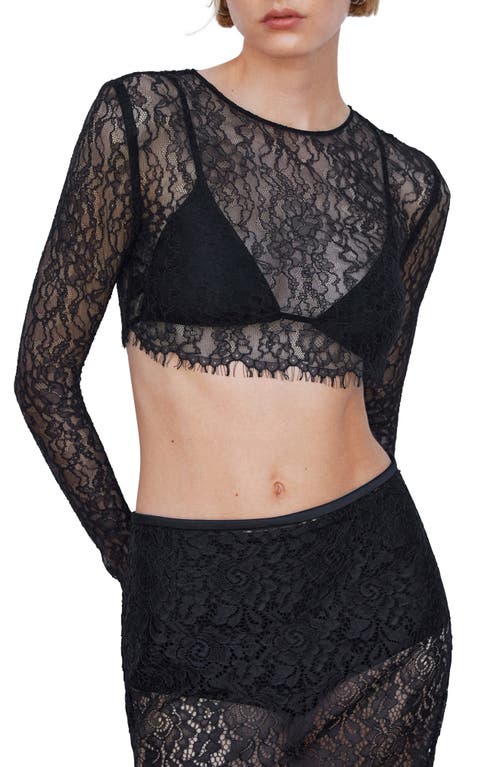MANGO Sheer Lace Crop Top in Black at Nordstrom, Size 6