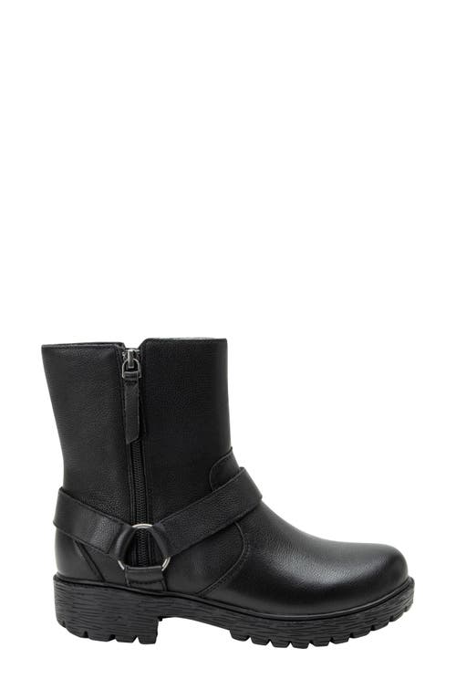 Alegria By Pg Lite Olympia Java Bootie In Black Bird