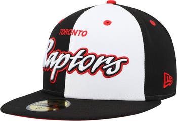 Toronto raptors flexfit hat sales