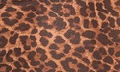 Edikted Lidia Leopard Print Sheer Mesh Bra Top In Leopard