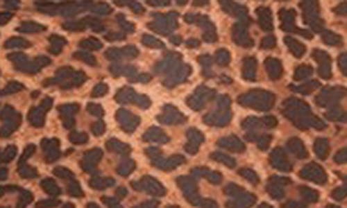 Shop Edikted Lidia Leopard Print Sheer Mesh Bra Top