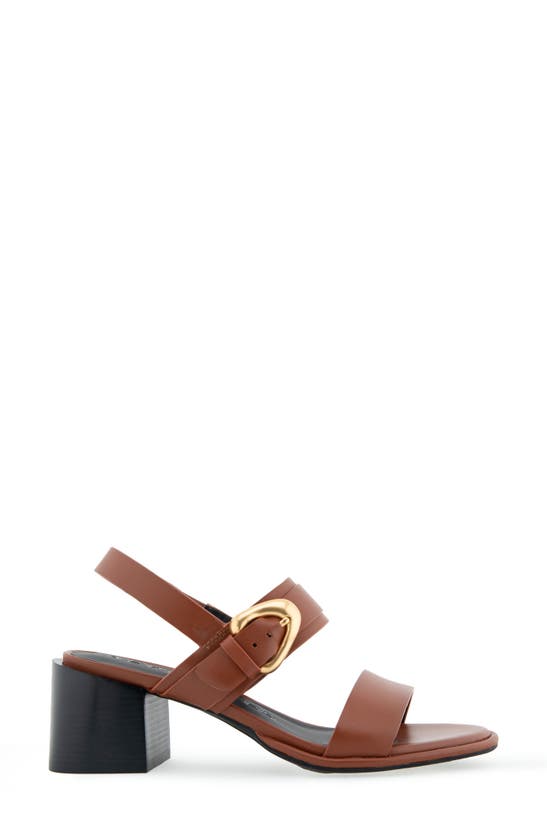 AEROSOLES AEROSOLES NOVA BLOCK HEEL SANDAL 