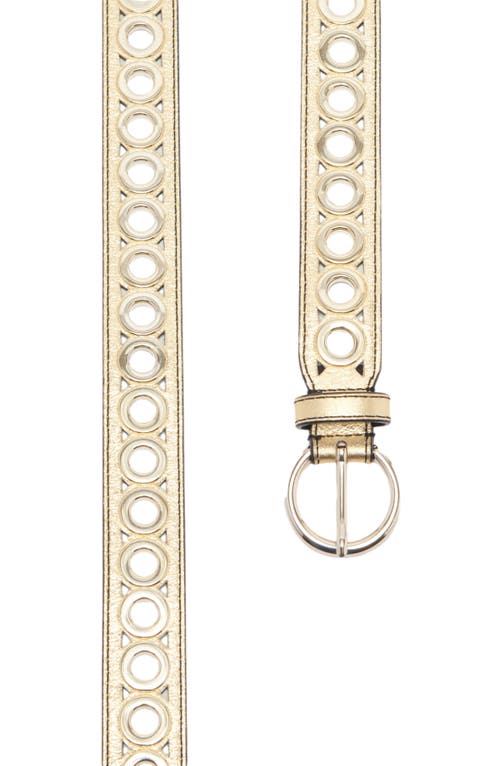 Sandro Belt With Eyelets In Gold