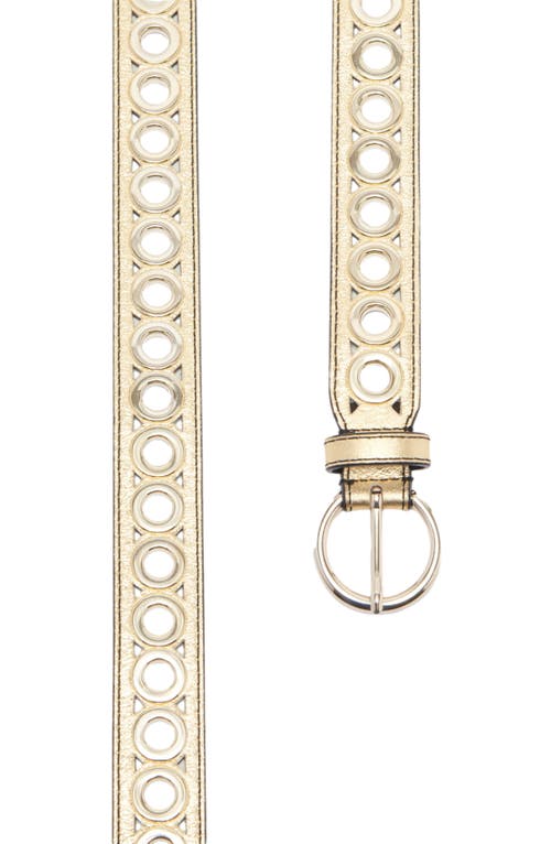 Shop Sandro Belt With Eyelets In Gold