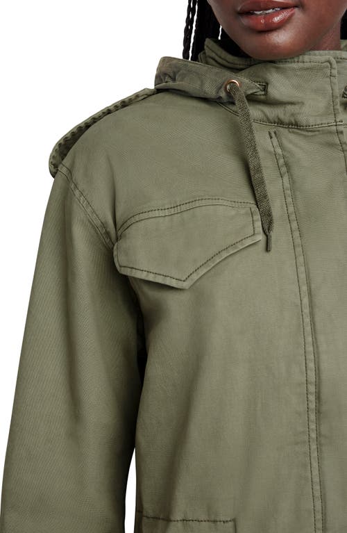 Splendid Tegan Hooded Utility Jacket In Trail