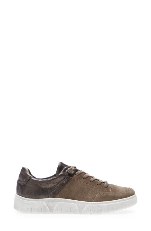 Shop Ara Regina Sneaker In Taiga Velour/mercury