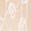 selected Cameo Rose color