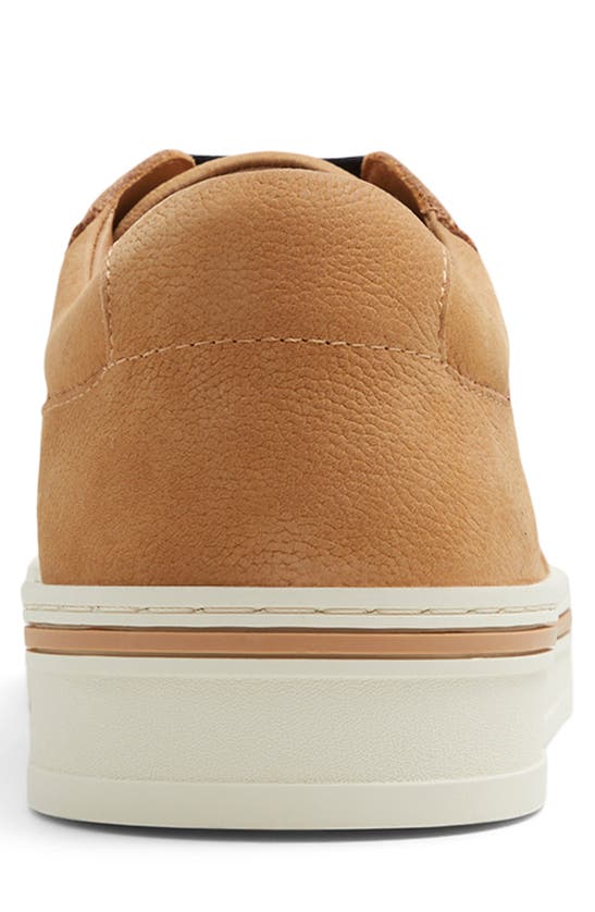 Ted Baker Hampstead Sneaker In Light Brown