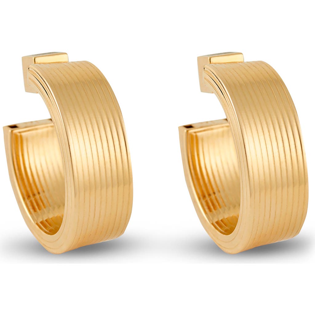 Ivi Los Angeles Medium Signora Hollow Hoop Earrings In Yellow Gold