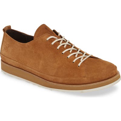 Fly London Jolm Sneaker, Brown