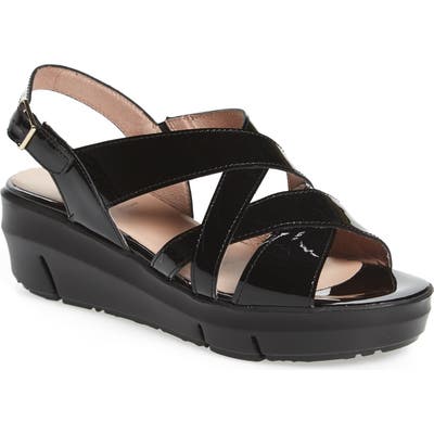 Wonders Platform Wedge Sandal, Black