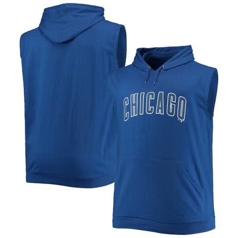 Men's Profile Ash Chicago Cubs Big & Tall Pullover Hoodie