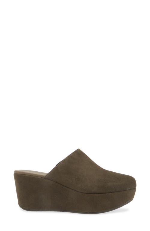 Chocolat Blu Yoma Platform Clog In Olive Suede