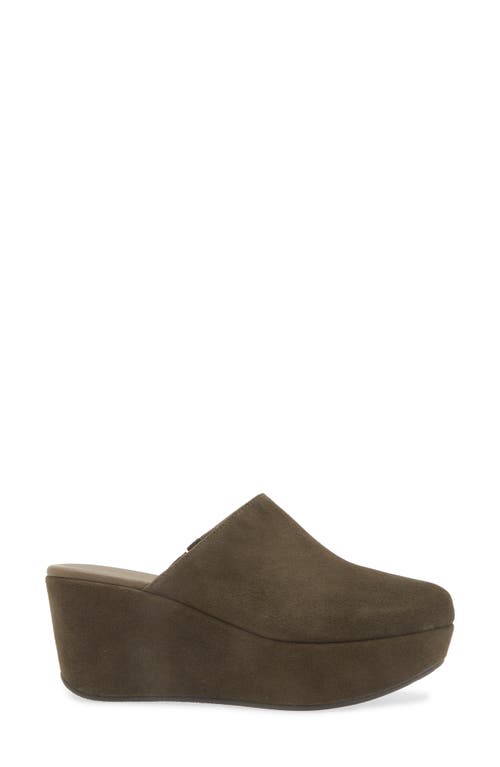 Shop Chocolat Blu Yoma Platform Clog In Olive Suede