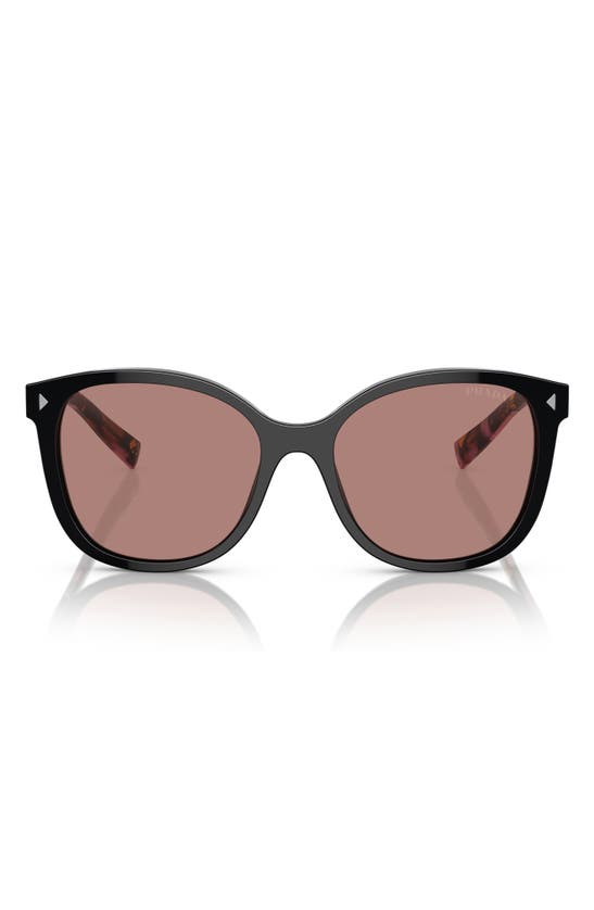 Shop Prada 53mm Square Sunglasses In Lite Brown