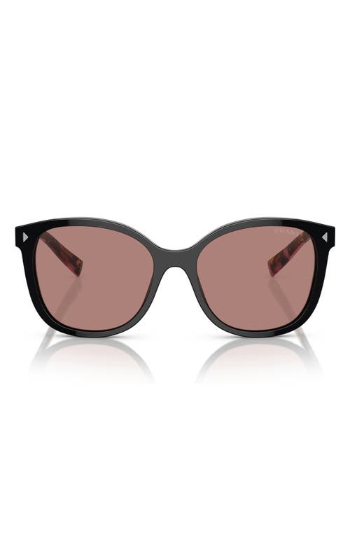 Prada 53mm Square Sunglasses in Lite Brown at Nordstrom