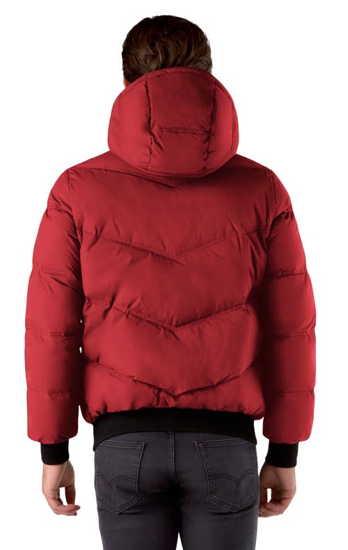 Triple F.a.t. Goose Down Puffer In Red