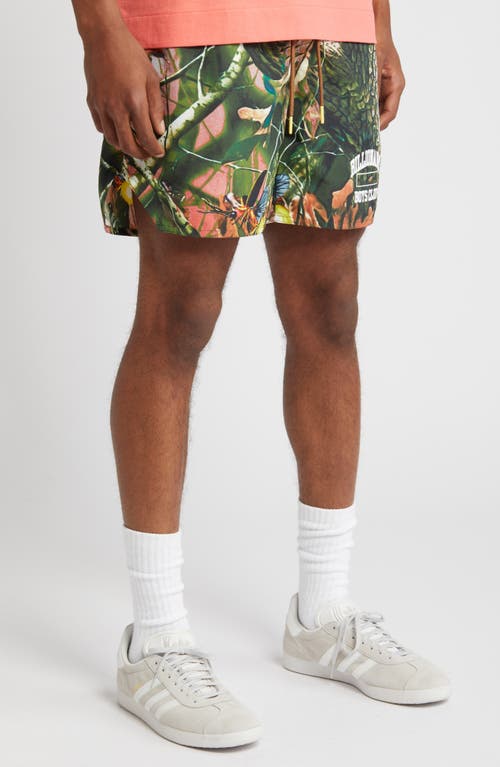 Shop Billionaire Boys Club Trail Mix Drawstring Nylon Shorts In Toffee