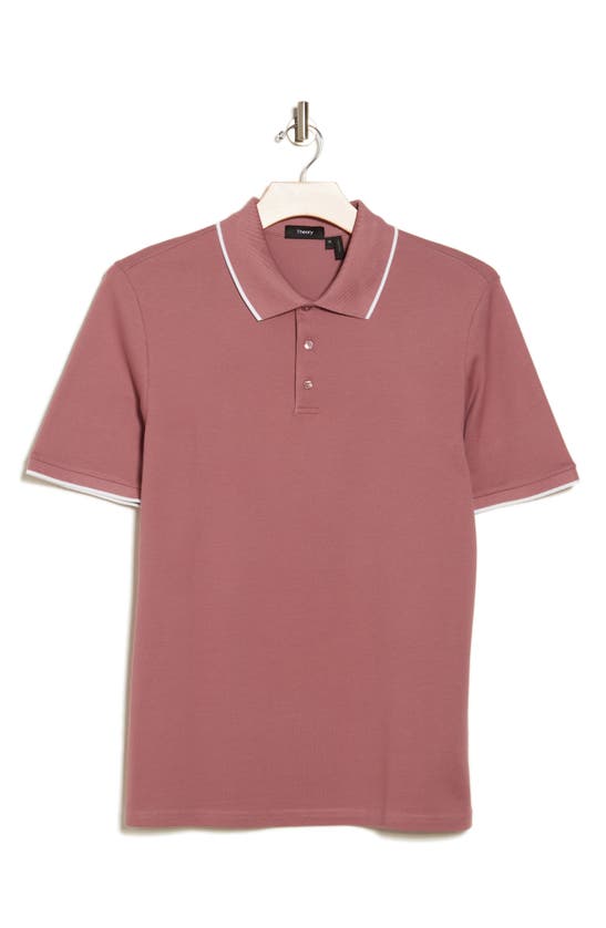 Shop Theory Precise Stretch Pima Cotton Polo In Lt Plum/ Ivory - 0s9
