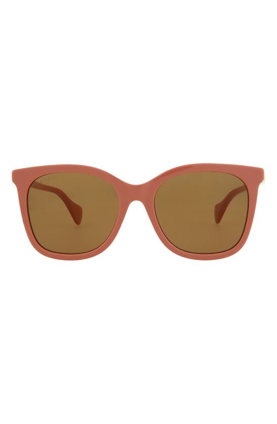 Gucci 55mm Cat Eye Sunglasses In Brown