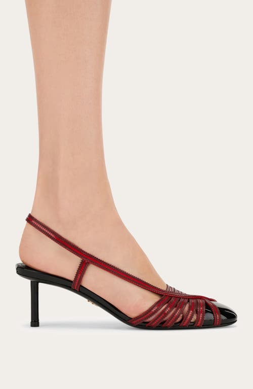 Shop Ferragamo Edyna Slingback Kitten Heel Pump In Nero Flame Red Borgogna