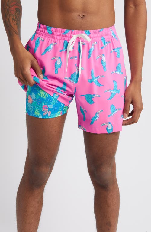 Shop Chubbies Classic Lined 5.5-inch Swim Trunks In The Toucan Do Its